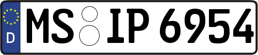 MS-IP6954
