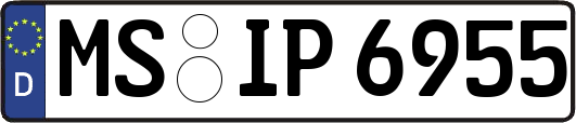 MS-IP6955