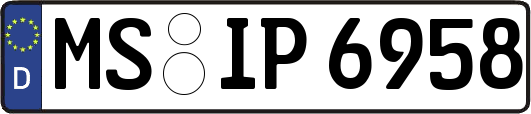 MS-IP6958