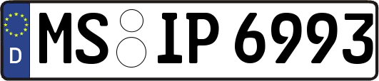 MS-IP6993
