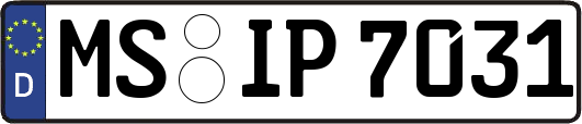 MS-IP7031