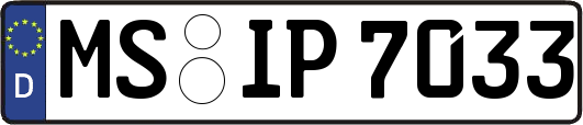 MS-IP7033