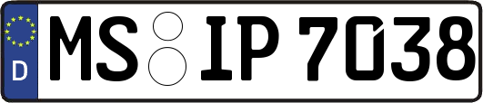 MS-IP7038