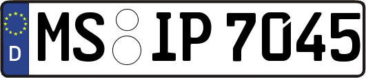 MS-IP7045