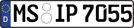 MS-IP7055