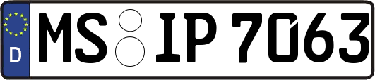 MS-IP7063