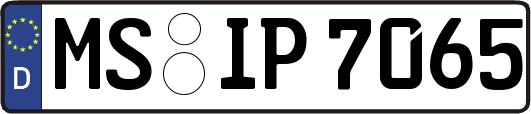 MS-IP7065