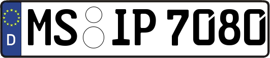 MS-IP7080