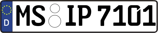 MS-IP7101