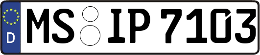 MS-IP7103