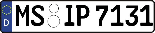 MS-IP7131