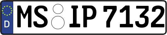 MS-IP7132