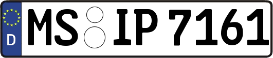 MS-IP7161