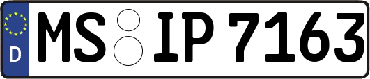 MS-IP7163