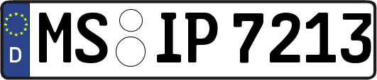 MS-IP7213