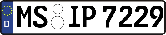 MS-IP7229