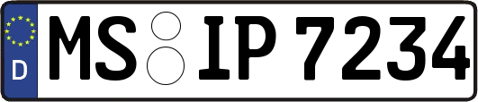 MS-IP7234