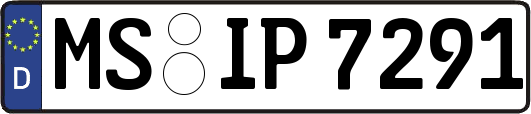 MS-IP7291