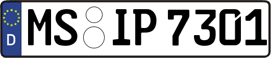 MS-IP7301