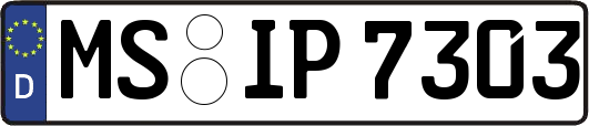MS-IP7303