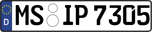 MS-IP7305