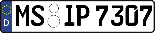 MS-IP7307