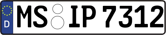 MS-IP7312