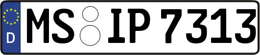 MS-IP7313