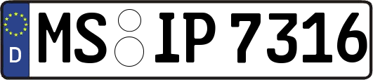 MS-IP7316