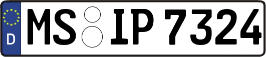 MS-IP7324
