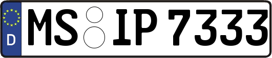 MS-IP7333