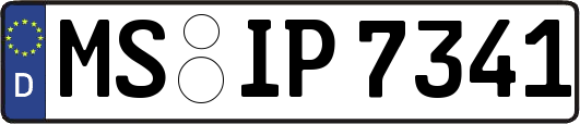 MS-IP7341