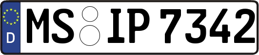 MS-IP7342