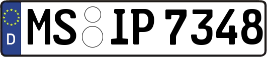 MS-IP7348