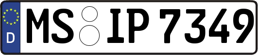 MS-IP7349