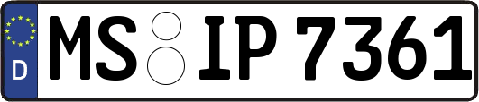 MS-IP7361