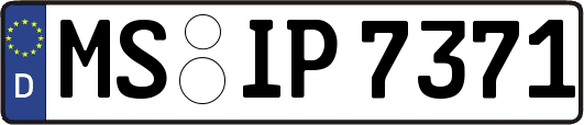 MS-IP7371