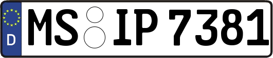 MS-IP7381