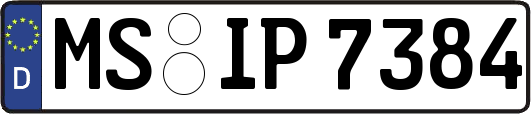 MS-IP7384