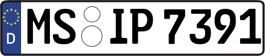 MS-IP7391