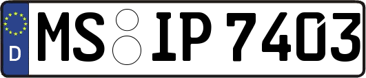 MS-IP7403
