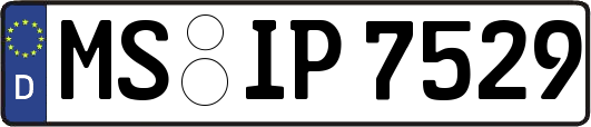 MS-IP7529