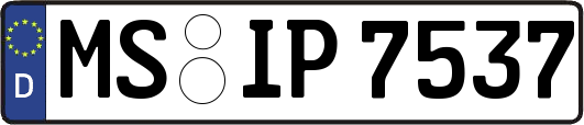 MS-IP7537