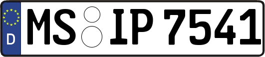 MS-IP7541