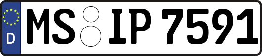 MS-IP7591