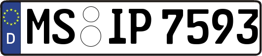 MS-IP7593