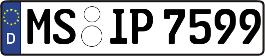 MS-IP7599