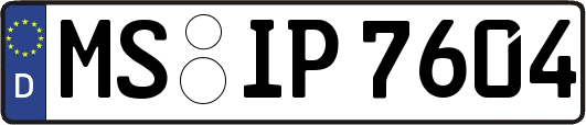 MS-IP7604