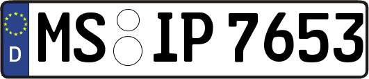 MS-IP7653