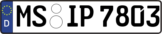 MS-IP7803
